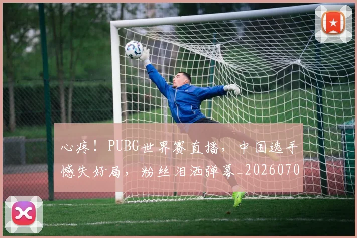 心疼！PUBG世界赛直播，中国选手憾失好局，粉丝泪洒弹幕_20260704173943