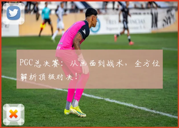 PGC总决赛:从画面到战术,全方位解析顶级对决!